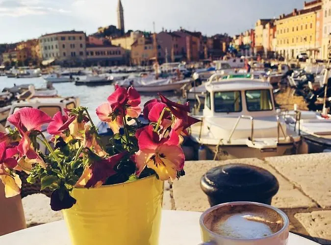 Joseph's Yard Daire *